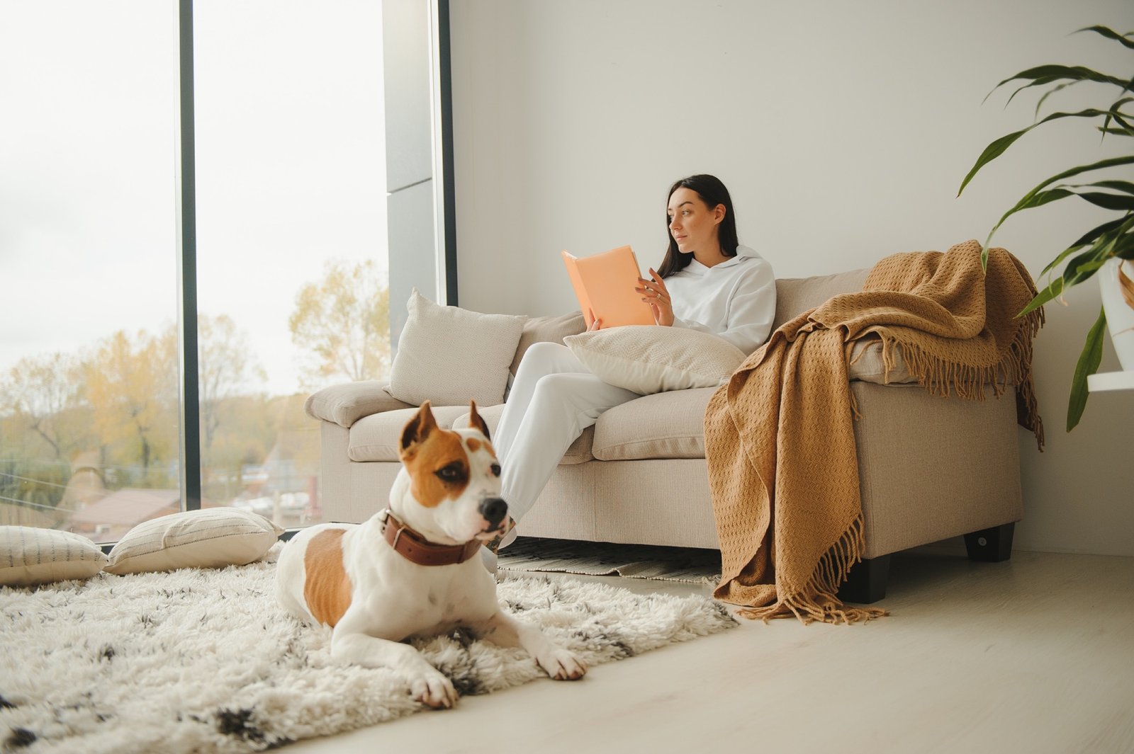 Gemütliches Wohnzimmer mit Hund auf der Couch